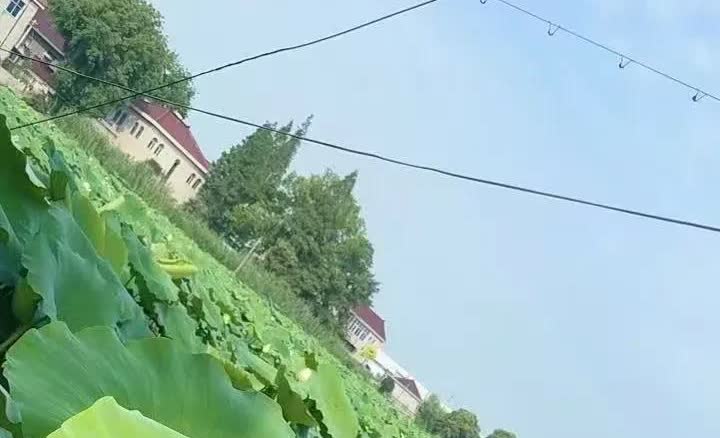 一女子当了9年的后妈，一天晚上因为生孩子的事和现任丈夫吵架，争吵后女子跑出门，想