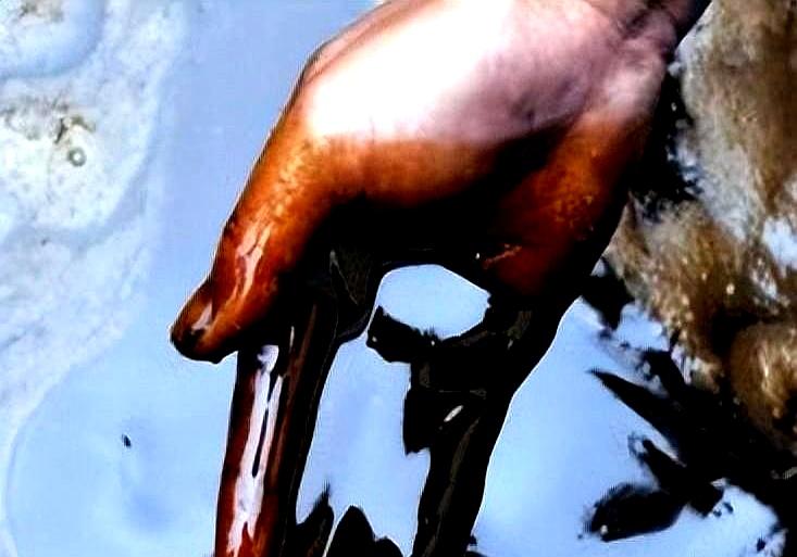 火葬场产生的“尸油”去了哪里？很多人不知道，尸体在燃烧的时候会产生“尸油”，但这