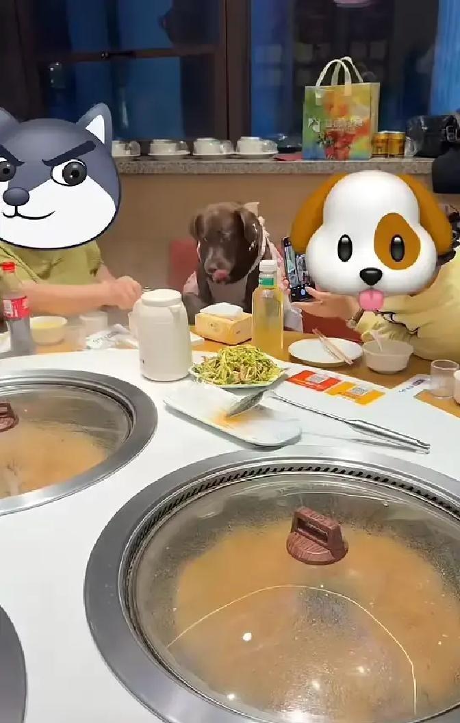 最让人膈应的,不是狗吃蛋糕,是有人把公用勺子直接伸向了它4月28日,天津一名女