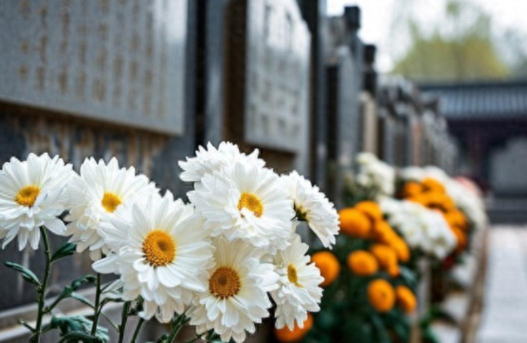 新的殡葬制度将于2026年3月30号执行，大概意思就是：一切从简，城