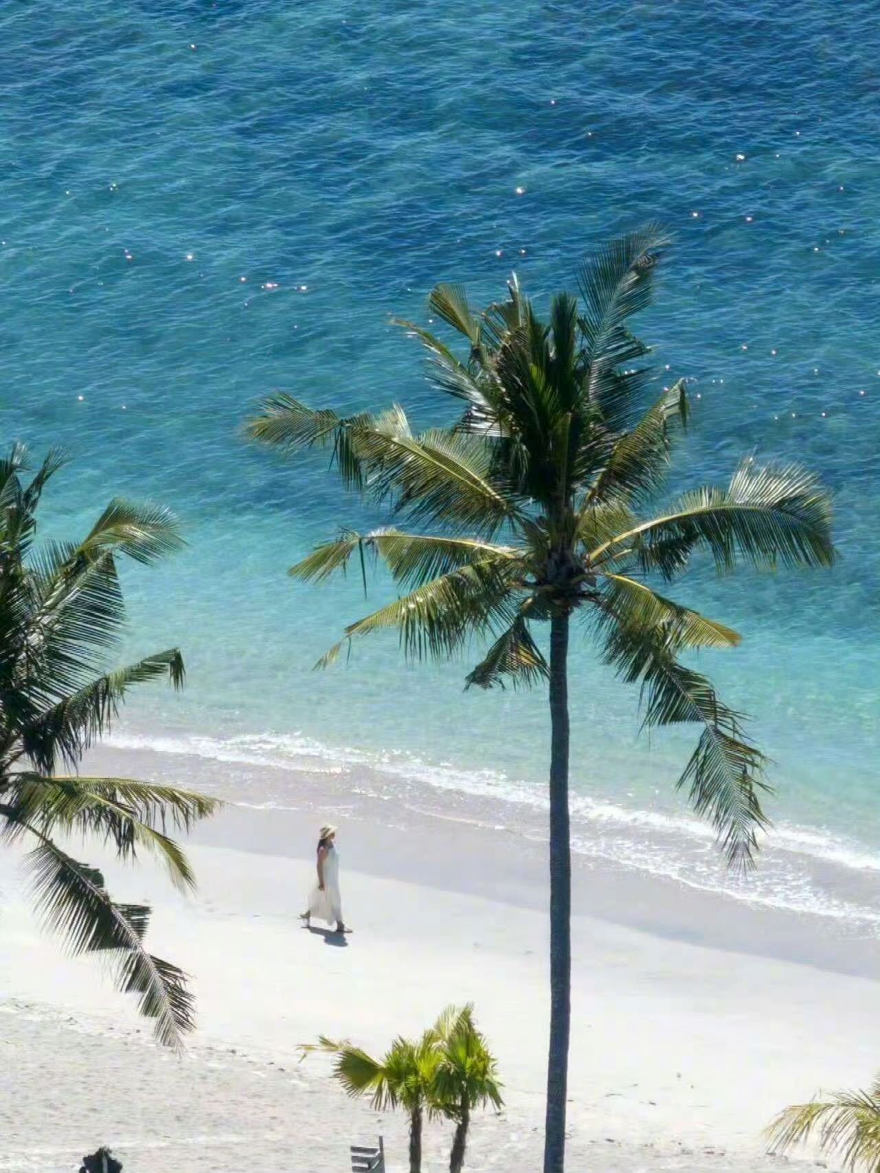 巴厘岛佩尼达岛上很大，如果你只有一天的时间，我更建议去东线，树屋🌲，悬崖， 秋