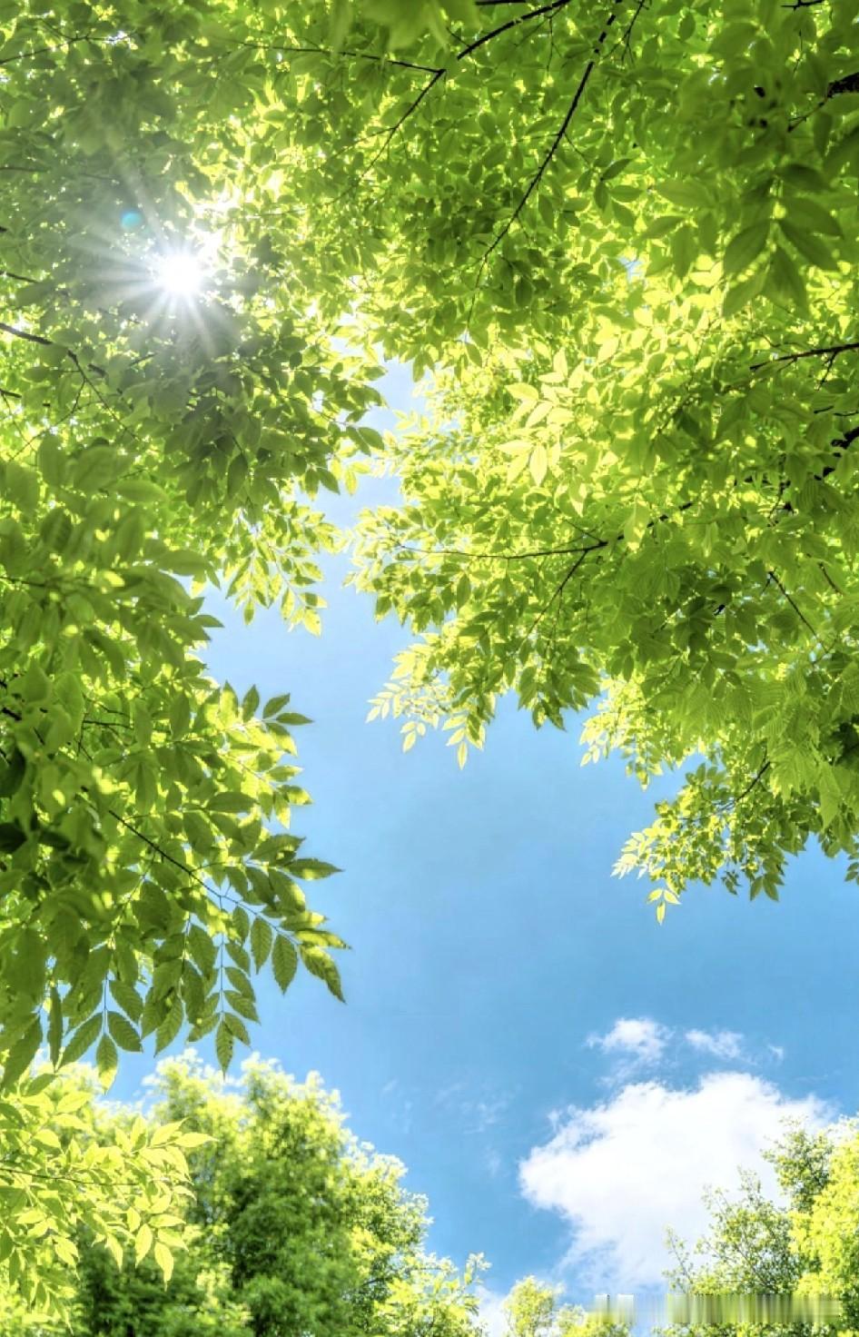 大家发现没？今年真的太不正常了，还有几天就六月份了，可是眼瞅着马上入