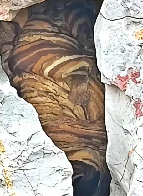 福建爷孙俩砍柴回家，瞥见石缝里露出“怪异花纹”，孙子想扔石头，老汉一把拽住：别动