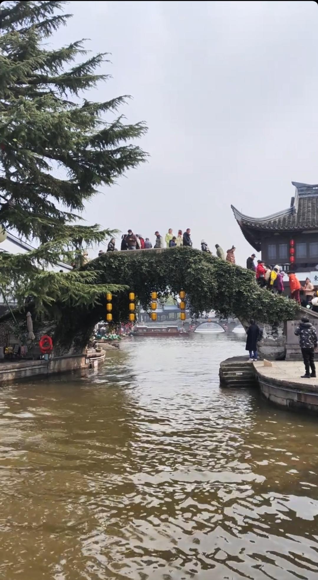 为何出现旅游越火酒店越惨的现象？旅游火了，酒店却惨了，这现象挺魔幻。就拿202