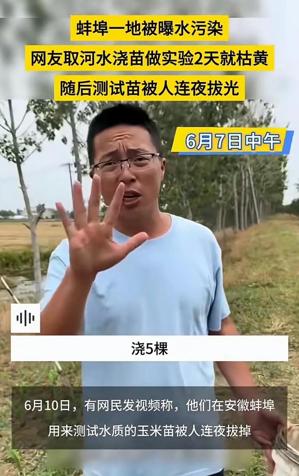 蚌埠环保局出名了！解决不了污染，就解决被污染的玉米苗！近日网友在