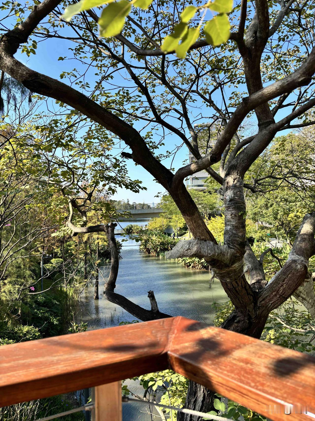 实修中如何做到气沉丹田？气沉丹田的核心在于“松”与“沉”。首先，调整姿势，做