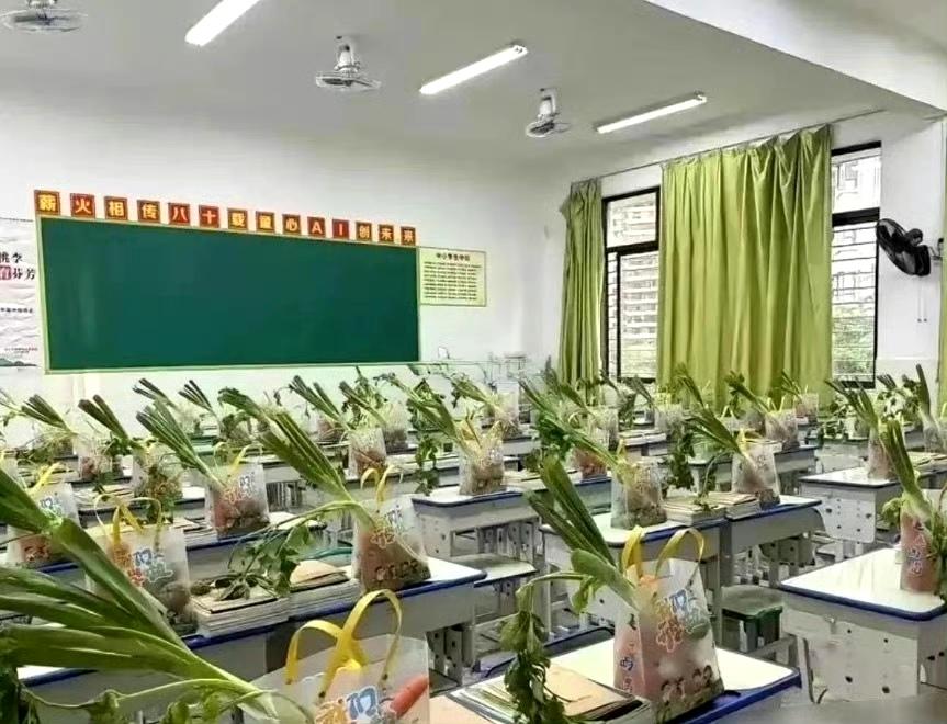 班主任看到这一幕，估计头都会大吧？​​​