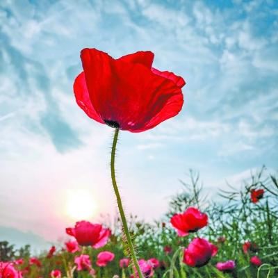 周末重磅消息，下周走势前瞻！周末重磅消息如下：一、据媒体报道，上海市印发《上