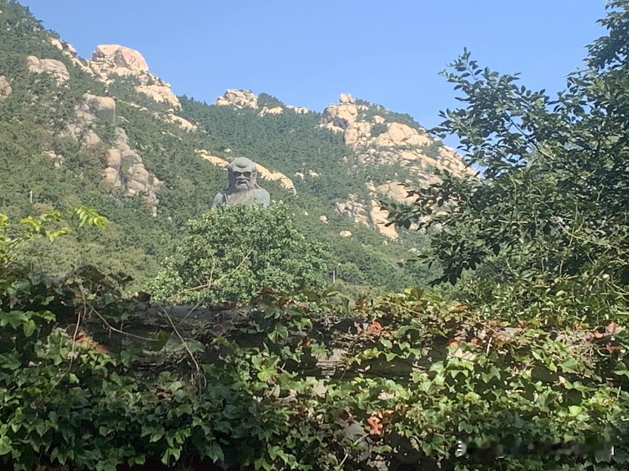 还真不知道他们为什么将移动换成电信，我反正是将用了十多年的移动号换成了联通号。