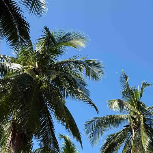 退休7年、国家税务总局原官员薛建英的新闻  公开披露 12月8日上午10: