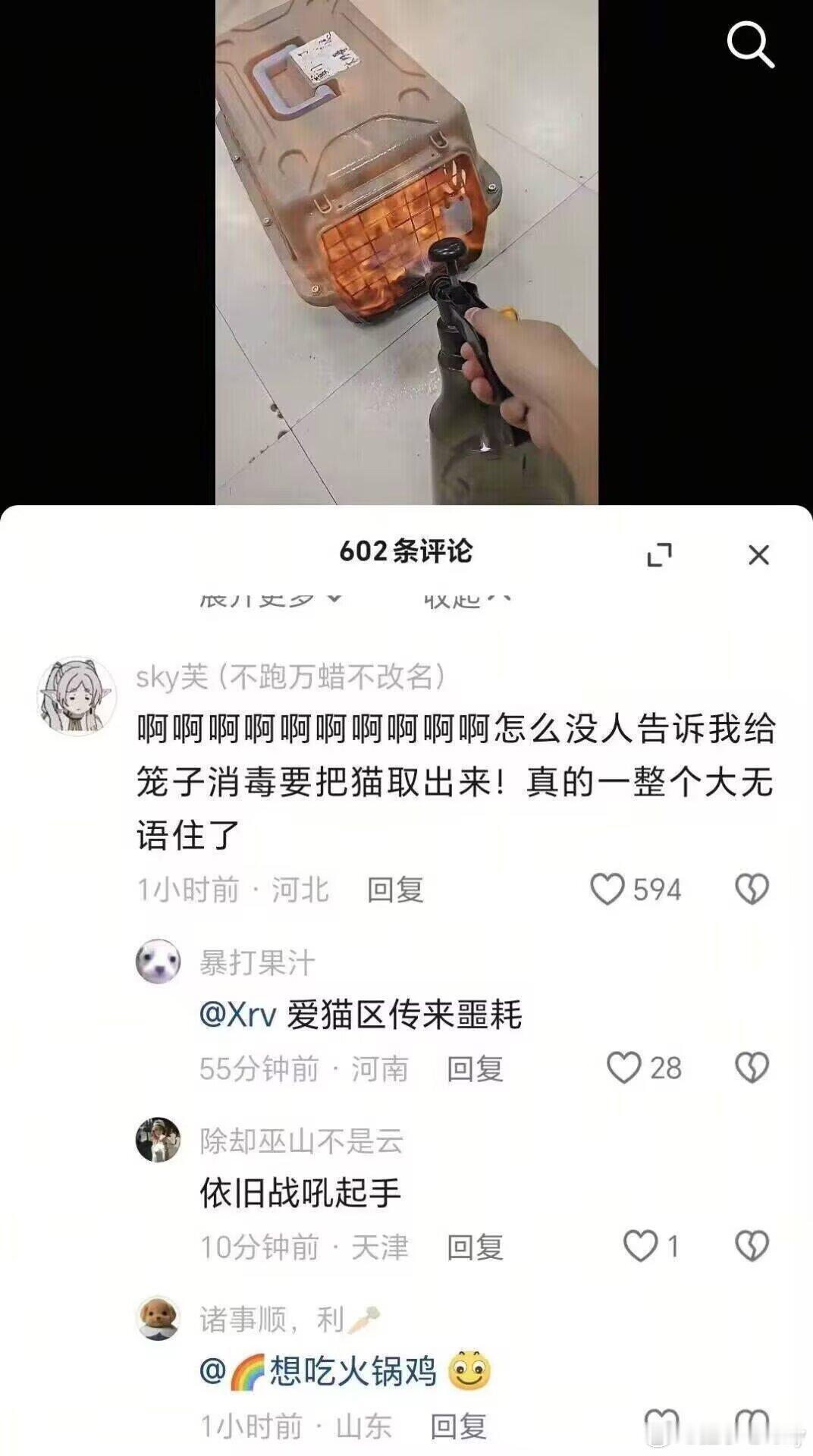 依旧爱猫人士​​​