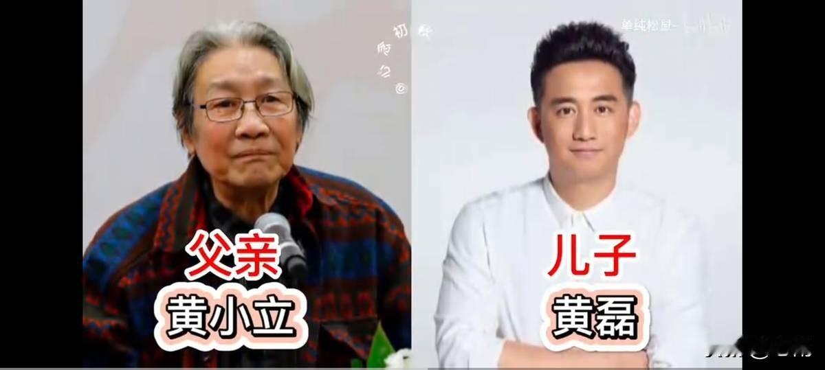 儿子名气盖过老子，这事挺有意思。表面看，是儿子们运气好，赶上了流量时代，吃了审
