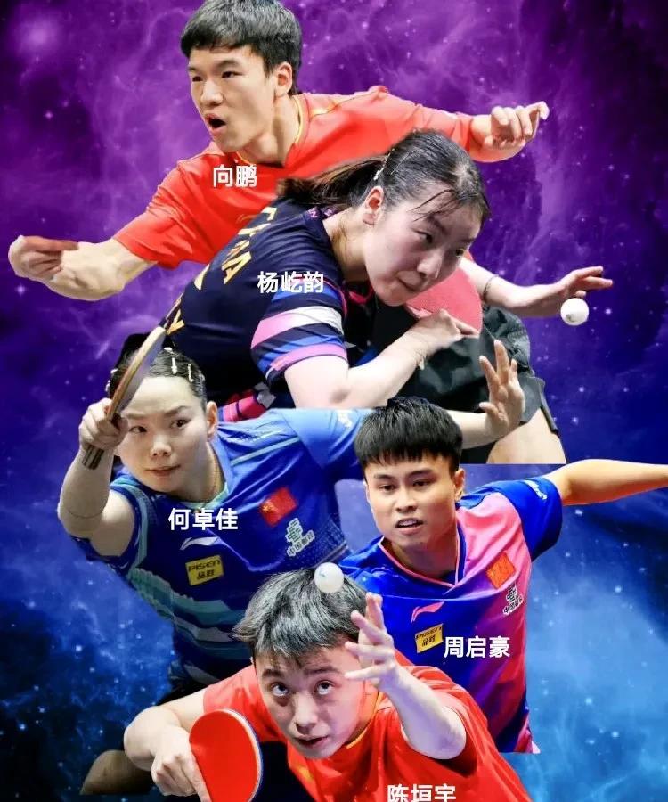 要说王励勤规划相当到位！大头，小石头不参赛，但雨果、张本智和、勒布伦兄弟、户上