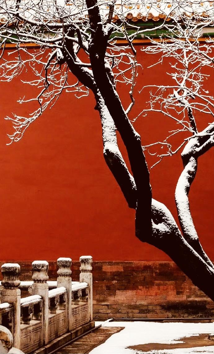 ❄️雪一落就美成了诗故宫就成了紫禁城！