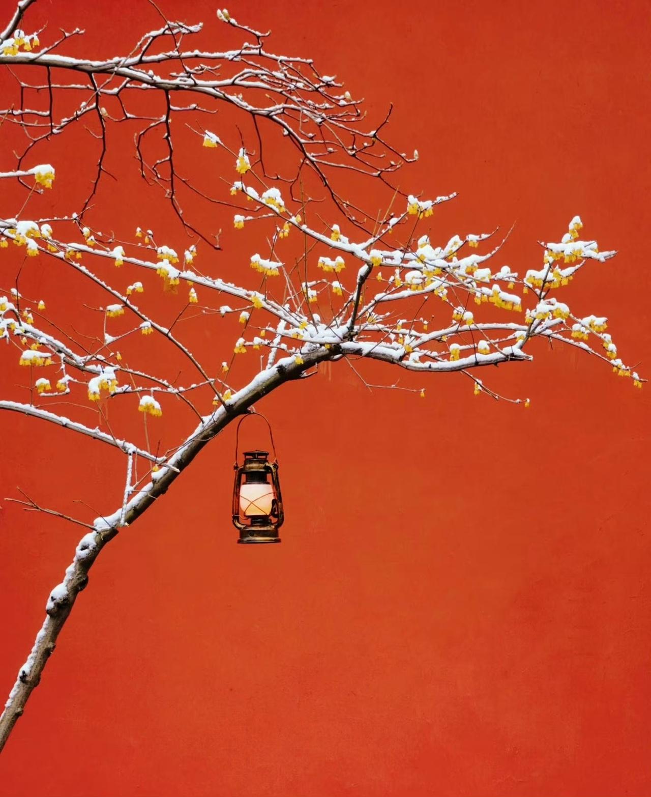 “红墙覆瑞雪，玉屑落琼枝。岁岁平安日，年年福满时…”​​​美图分享你