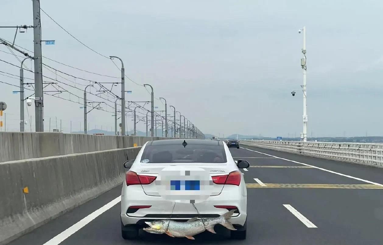 为啥不放后备箱，不怕掉了吗？