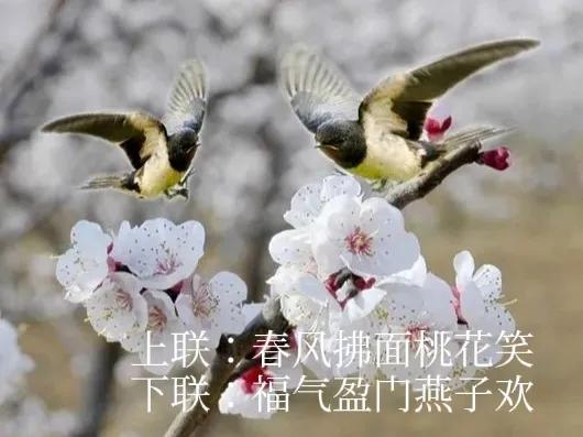 上联：春风拂面桃花笑，下联：福气盈门燕子欢。解析上联“春风拂面桃花笑”描