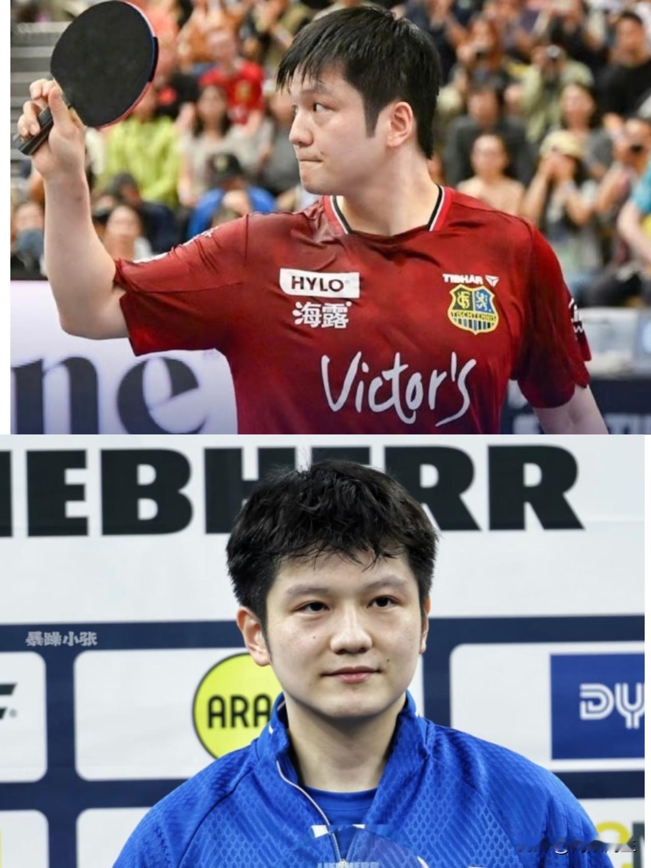 一天打四场还全赢，樊振东这体能怕是铁做的吧？硬生生把德国客场打成了“个人专