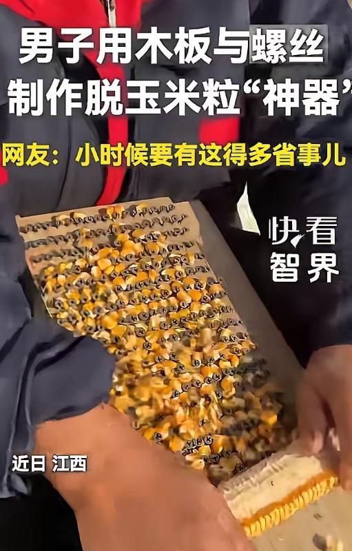 “人怎么能这么聪明！”江西，一男子嫌手剥玉米费手又慢，还不想花钱买脱粒机，他灵机