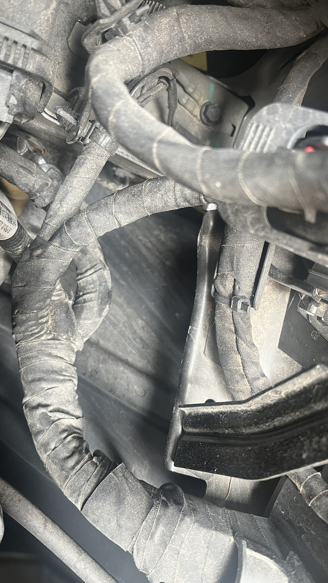 帝豪之锈这个月刚好满一年，就给了我一个大大的惊喜