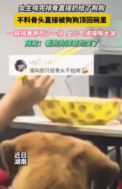 “真成精了？”湖南一女孩啃完排骨上的肉后，将骨头丢给了狗狗，没想到，骨头直接被狗