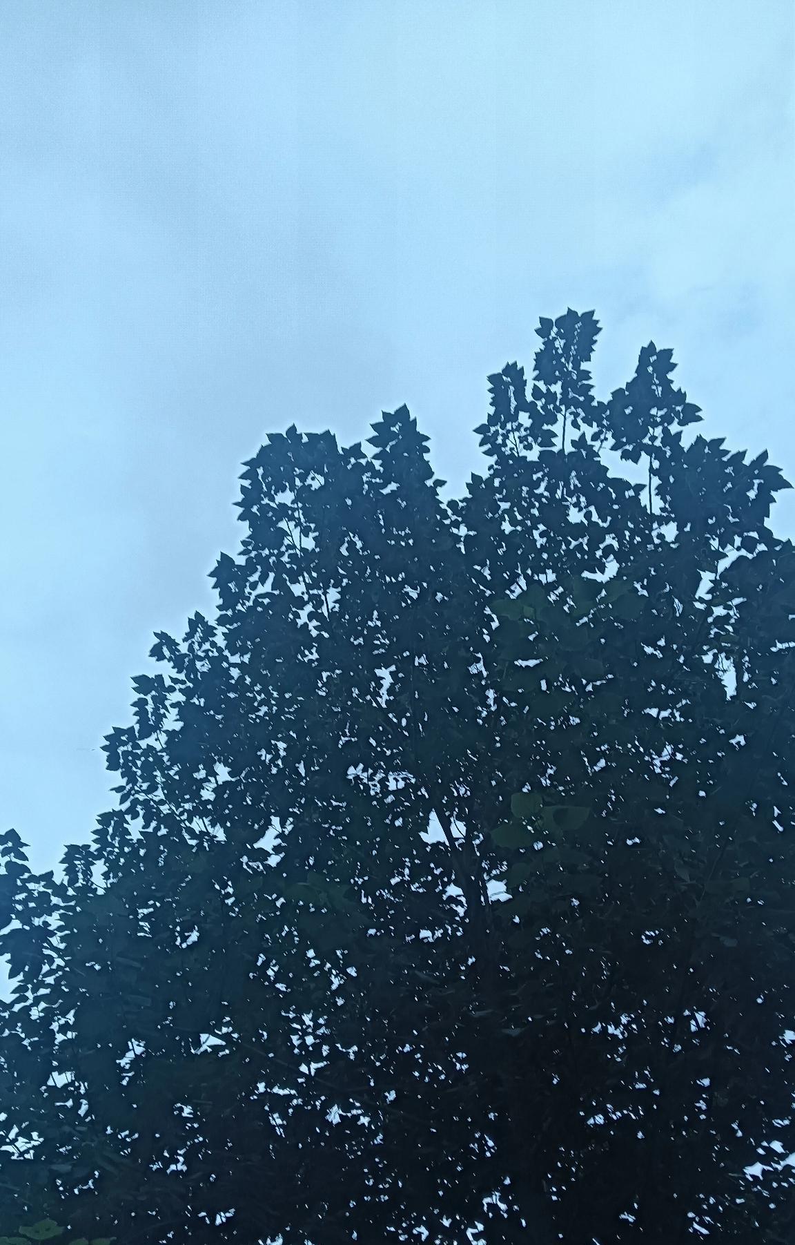 婚后的女人一定要明白:能给你带来幸福的只能是老公，只有老公才能心疼你，善待你，