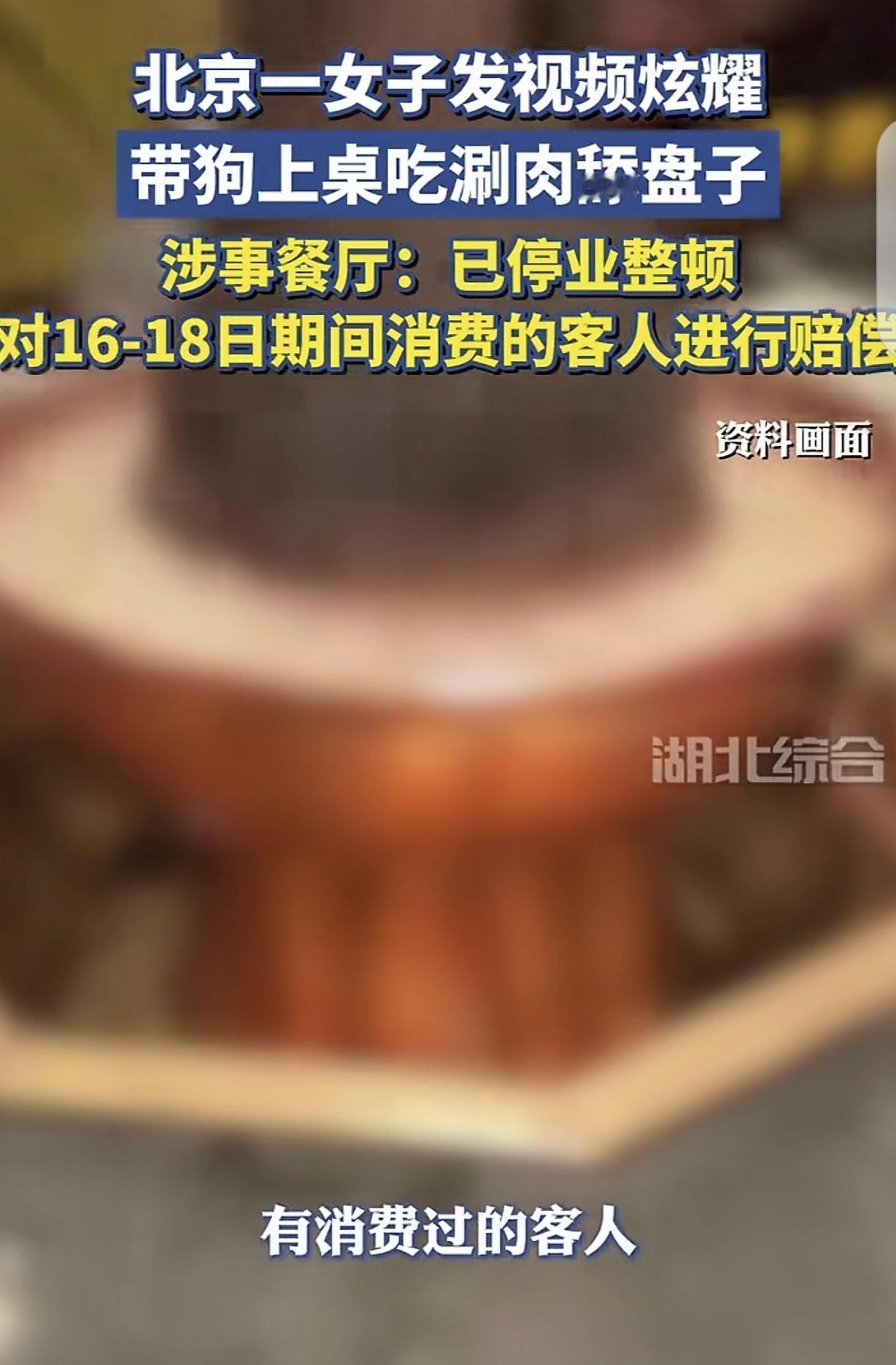 “这就是没素质的代价！”北京，一女子带着宠物狗去吃火锅，竟然让狗上餐桌吃涮肉舔盘