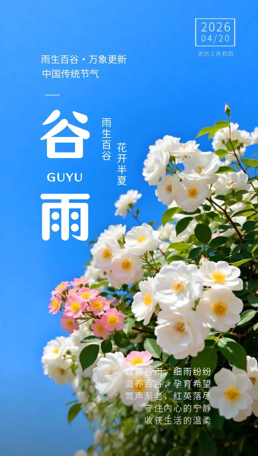 春晨问安，一帘春雨润新苗，满院芳菲醉谷雨。2026./04.20.[