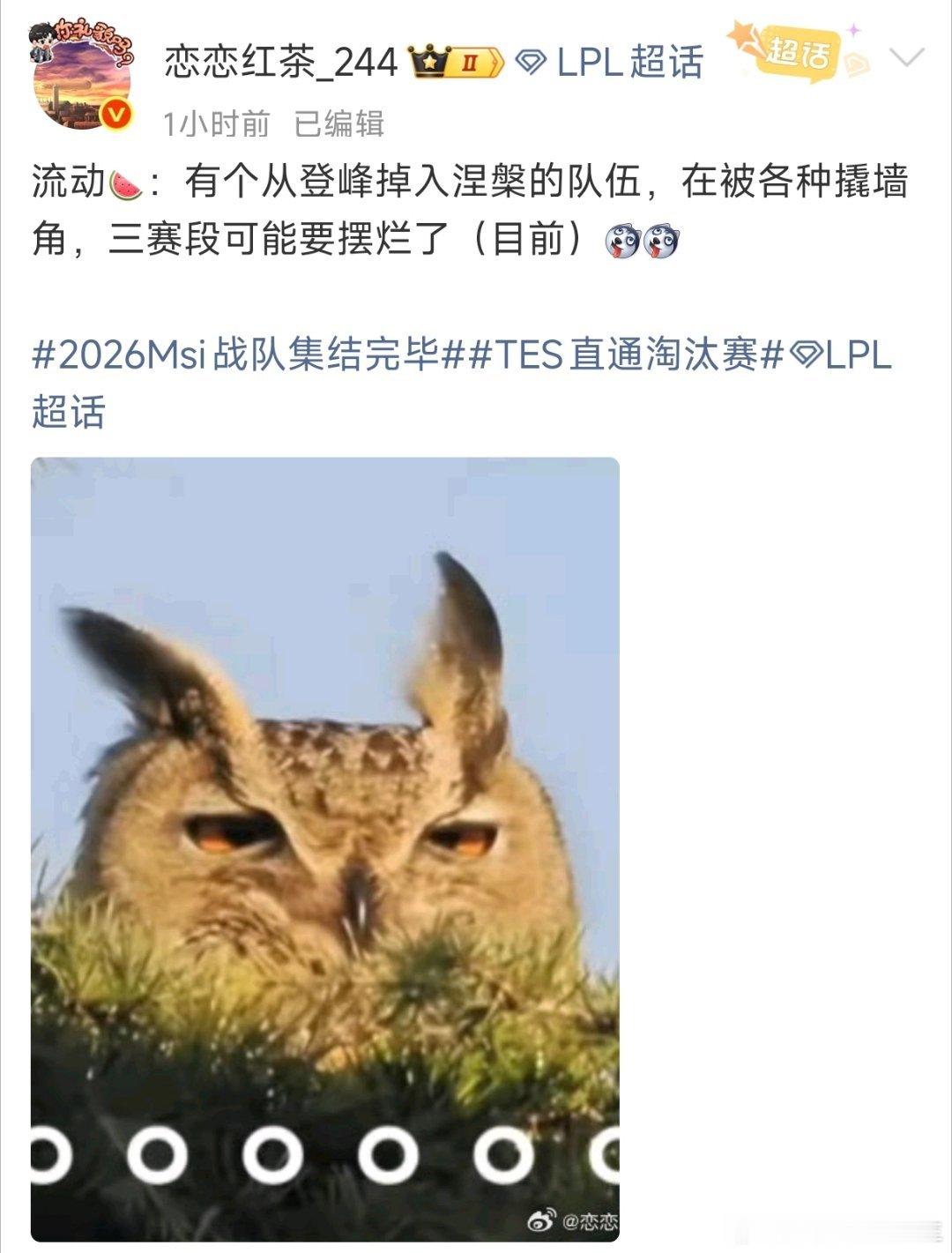 这还用猜吗？从登峰掉到涅槃，不明摆着是NIP嘛！IG和WBG肯定还会冲一把！EN