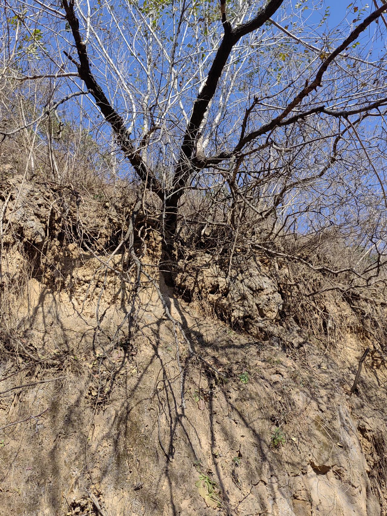 袁崇焕开始放言“五年平辽”是在欺骗崇祯吗？肯定不是。在抵御努尔哈赤时期，袁崇焕