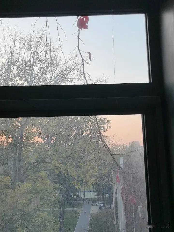 等候最后一片叶子的飘零