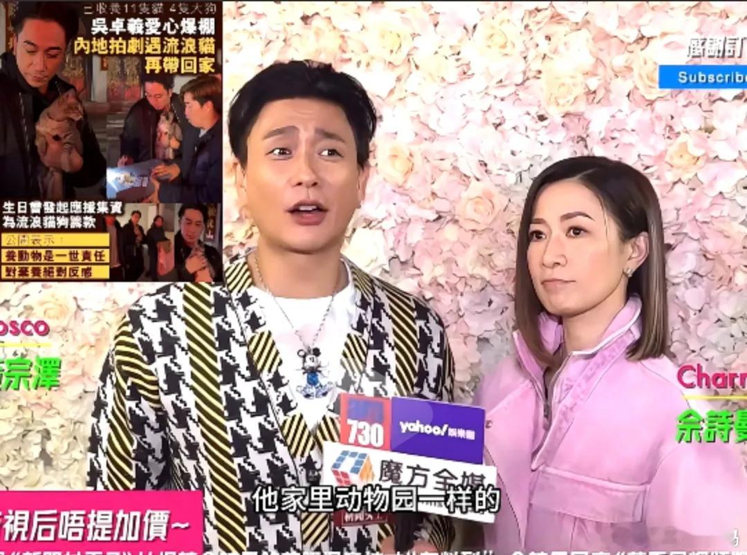 黄宗泽说吴卓羲收养了好多猫狗，家里简直像个动物园。他还说，吴卓羲有时候拍个戏，都