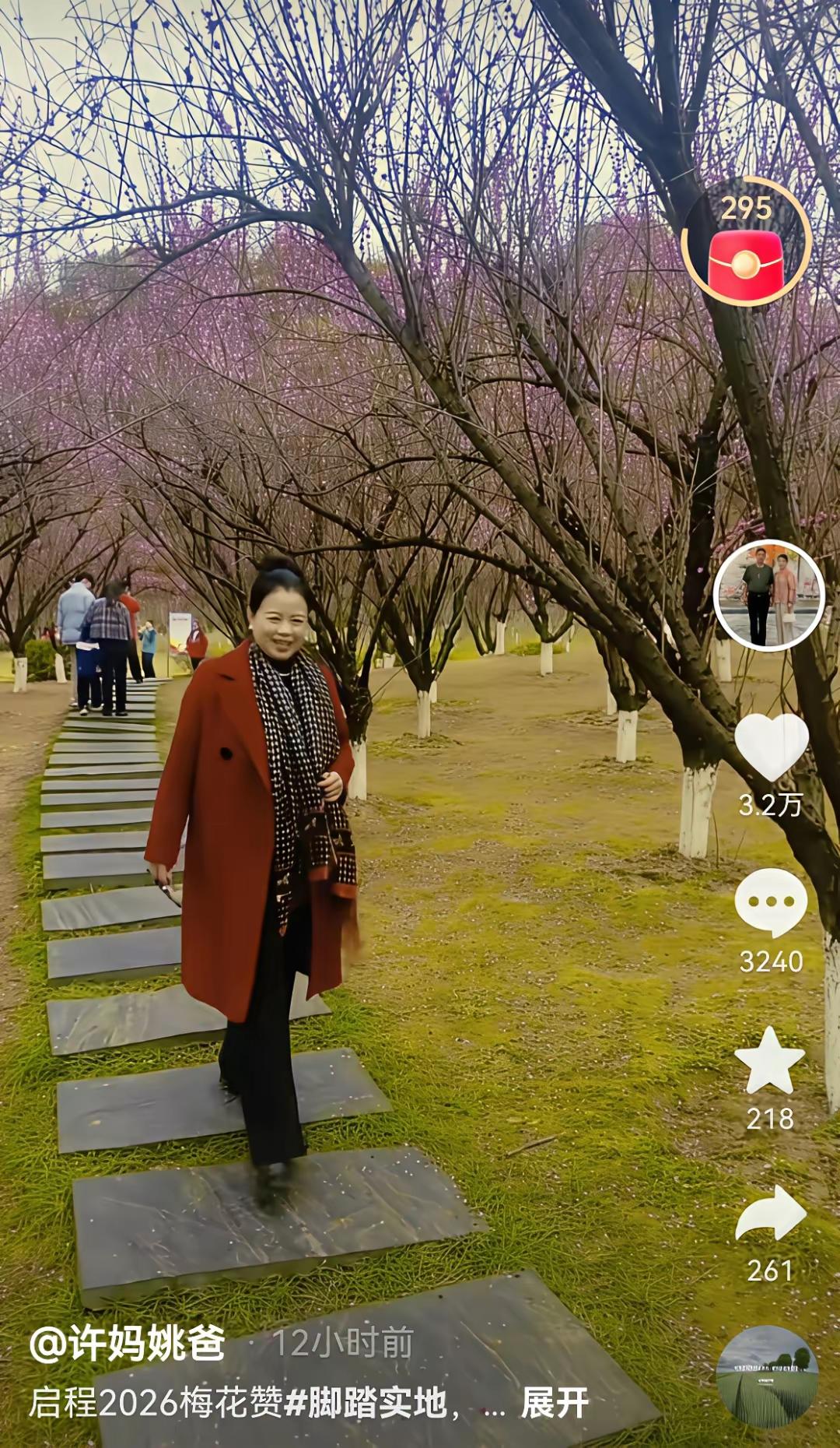 二八换子事件，许敏追查真相。许敏在医院生孩子，出院时抱走的孩子不是自己亲生的。后