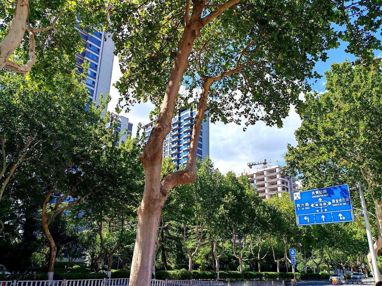 两千户拆成六千户，谁在笑，谁在皱眉。昨天在淄博张店一圈，工地塔吊转个不停，很多