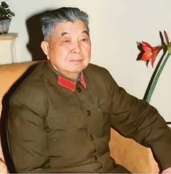 1953年，西康军区司令员刘忠，得知母亲和原配还在世，便携现任妻子回乡，当他看到