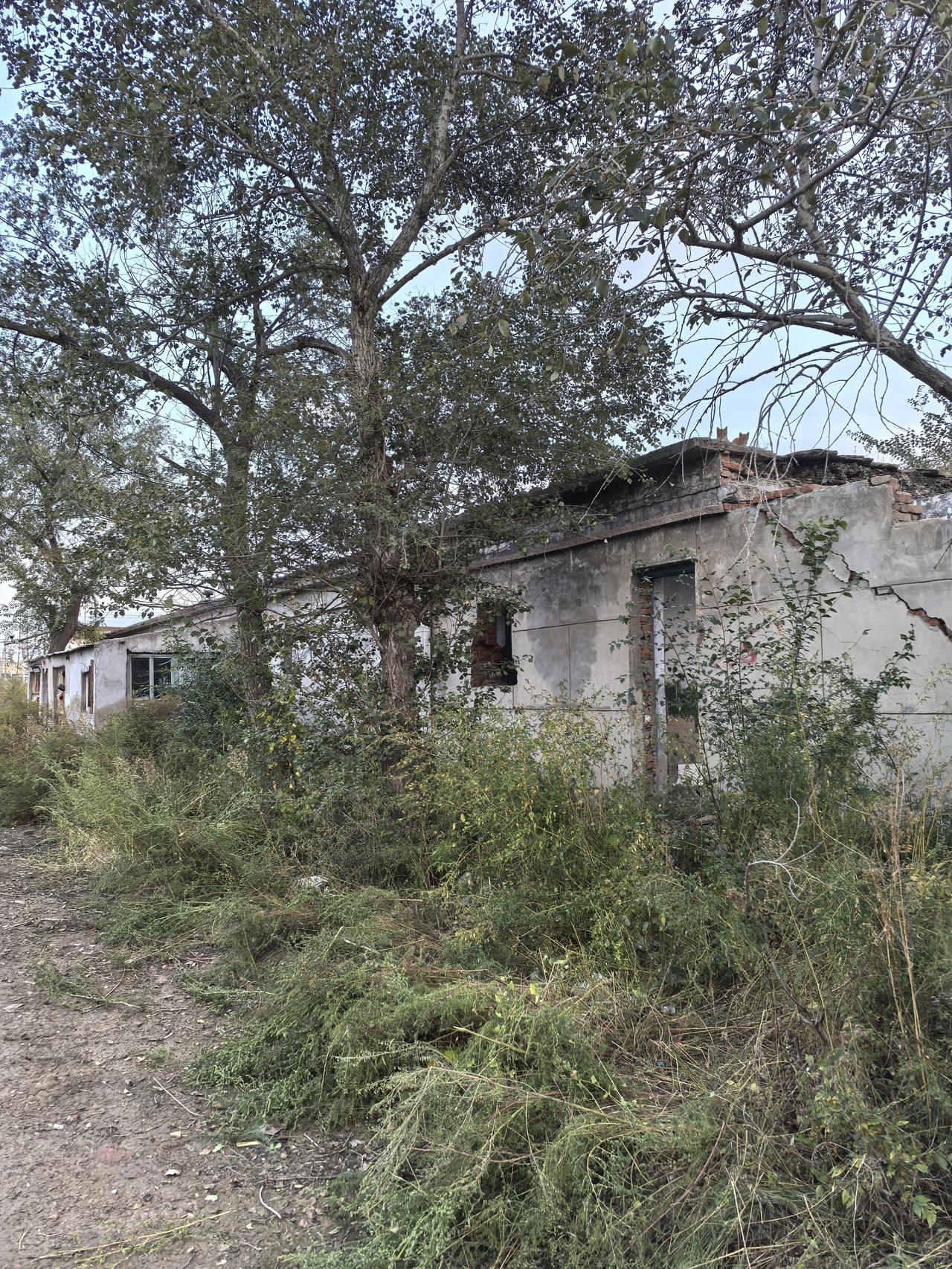 我记事起，我爸打我妈，狠狠地打，我和姐姐吓得缩在一旁不敢出声。等我爸消停了，