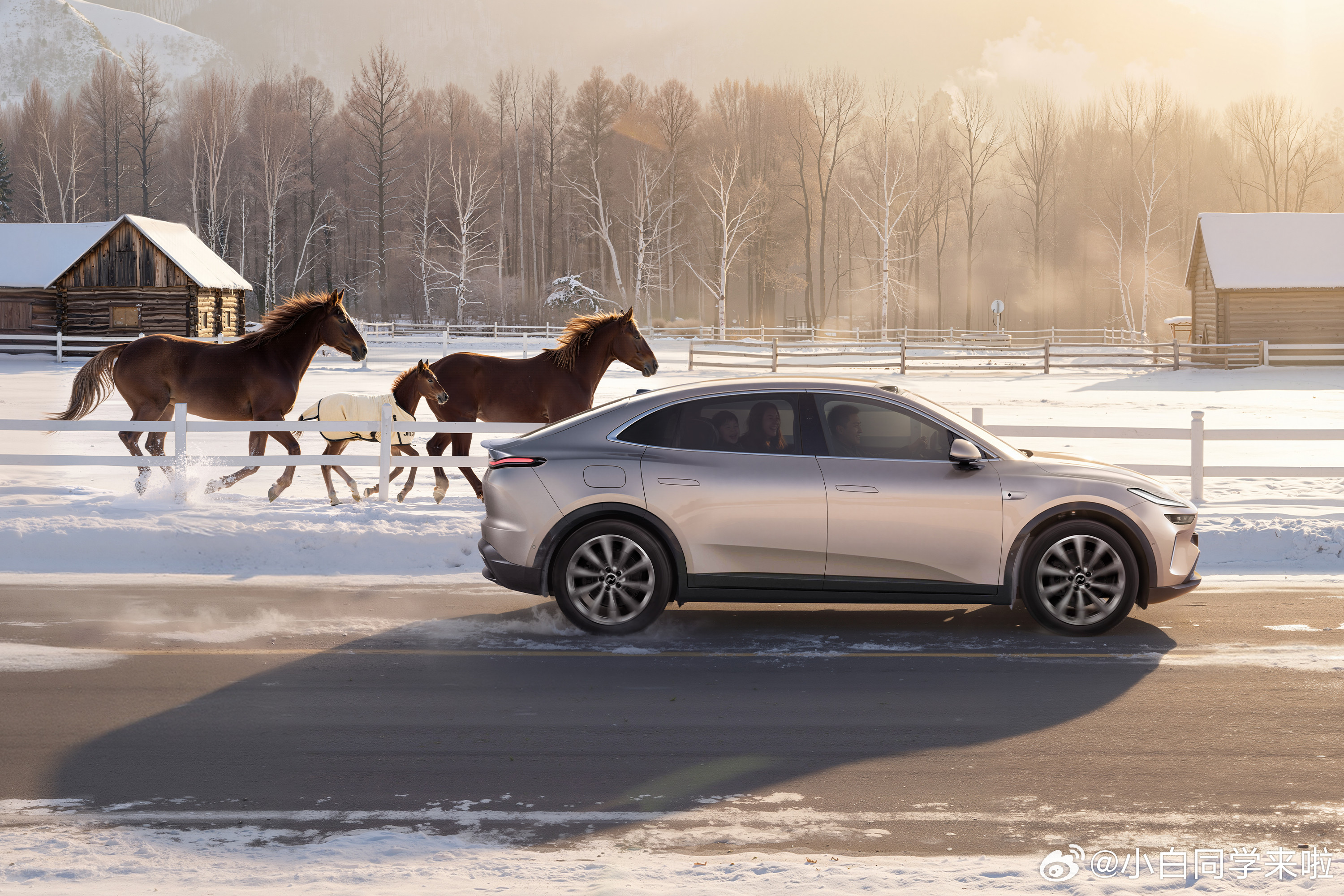 乐道L60马到成功版，整车购买21.89万元，电池租用方式购买16.19万元。