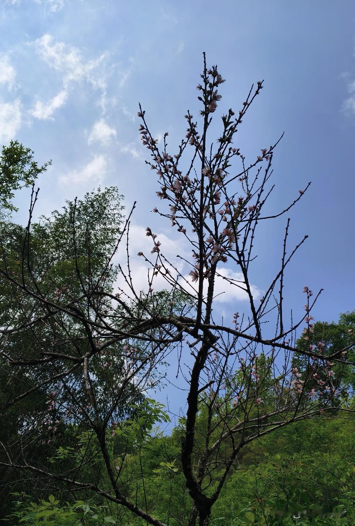 什么是处世的最高境界？和底层人打交道，接纳他们占便宜、献媚讨好、算计，同时欣