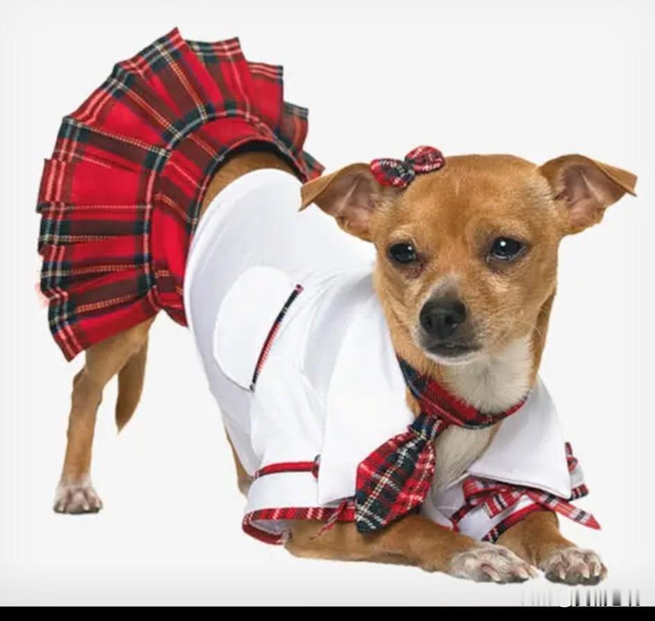 昨天下午4点多钟，我散牌路过周娭毑家，听见一尚话不高声的周娭毑正和媳妇吵架。周