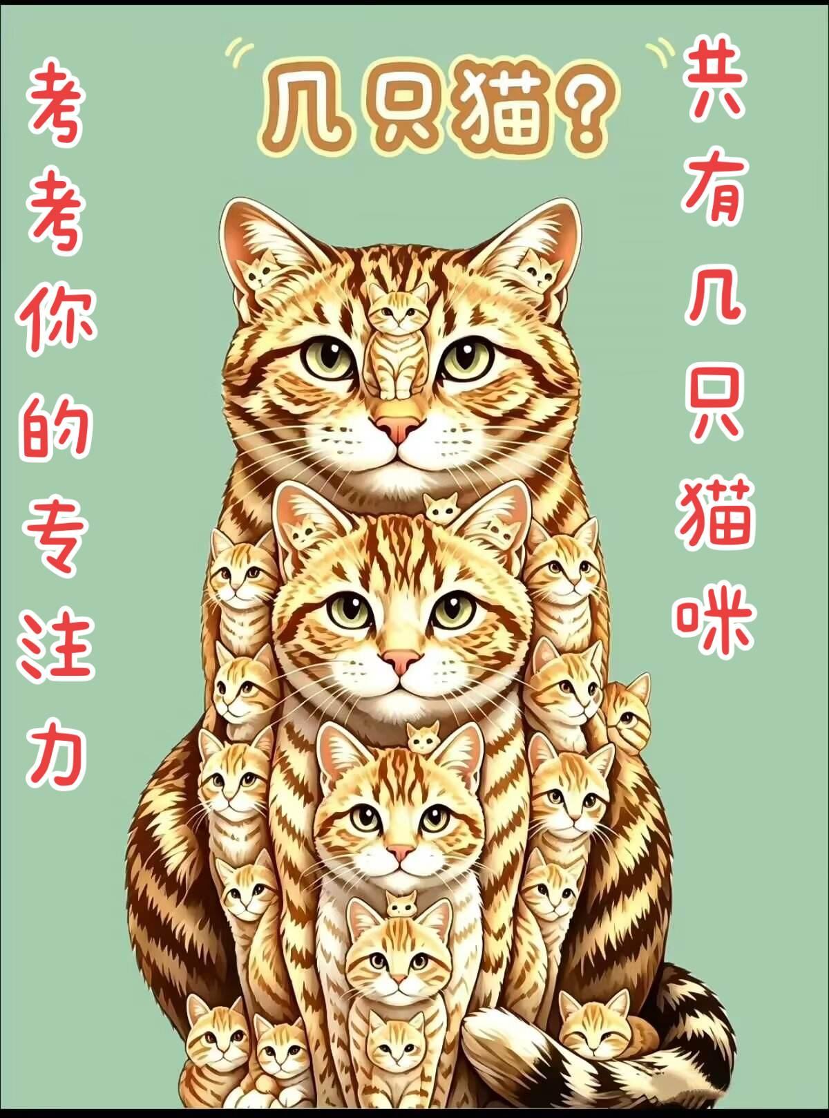 仔细看看这张图片，有多少只猫咪？图片来自网络，若有侵权，私信留言，立即删图，谢谢