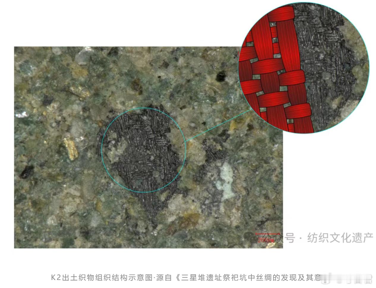 考古新知纺织遗物在考古发现中，丝绸、麻布等纺织遗存是极为珍贵的存在。这些由植物