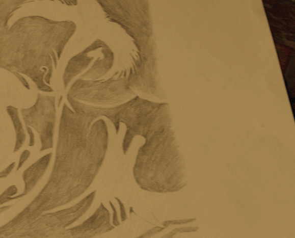 李木戈带着景甜张彬彬又杀回内娱《龙骨焚箱》预告简直是视觉盛宴！实景拍摄美得不像