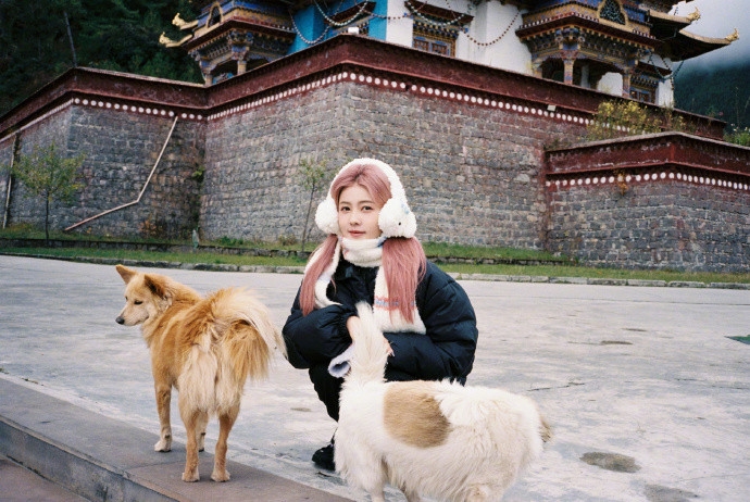白鹿粉发风景库存照白鹿粉发风景库存照，粉发小菠限时返场，毛茸茸满满冬日氛围感啊
