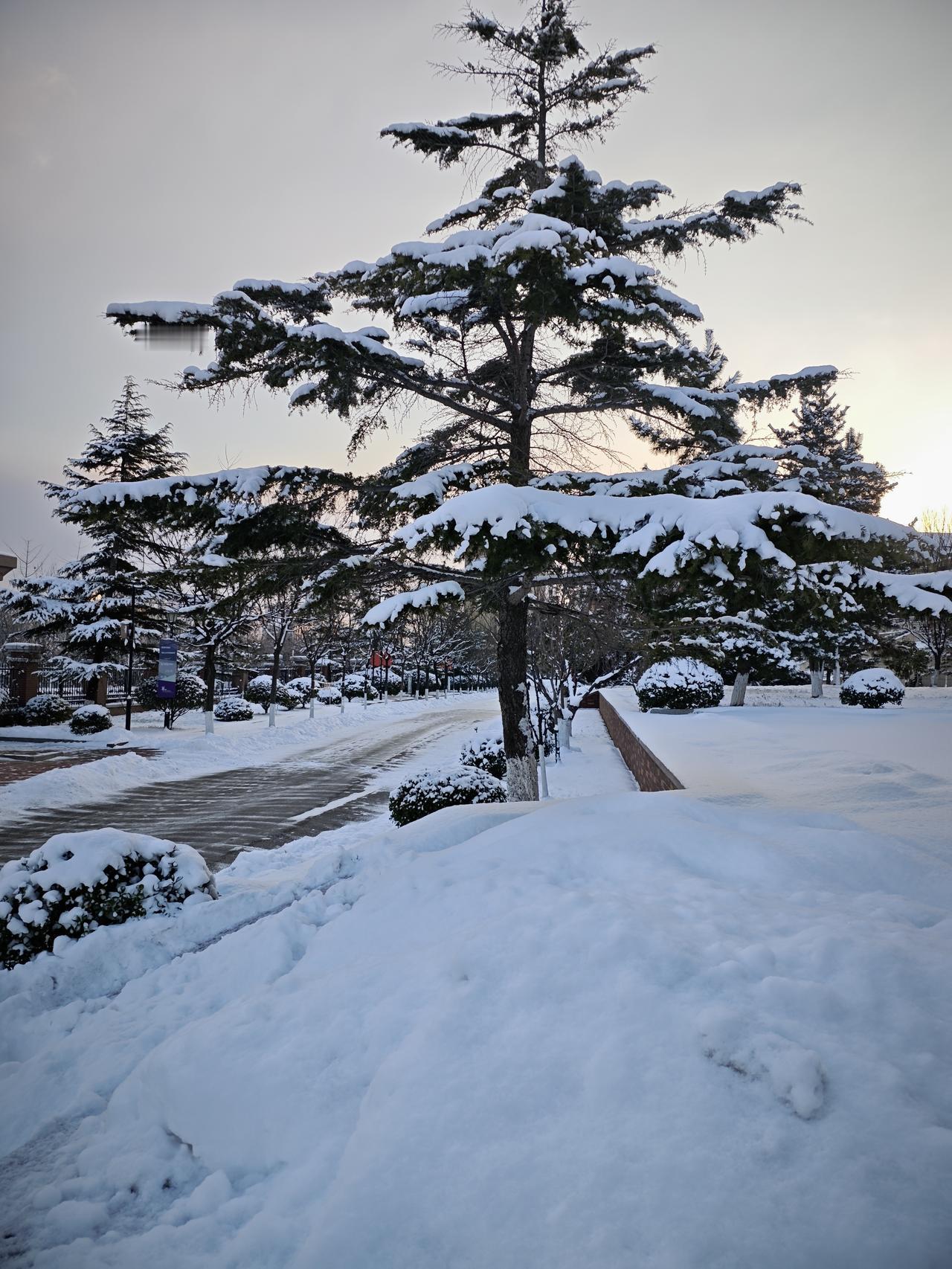 我老公就是程序员，他比较想得开，什么部门经理啥的一概不当，就做自己的程序员。虽然