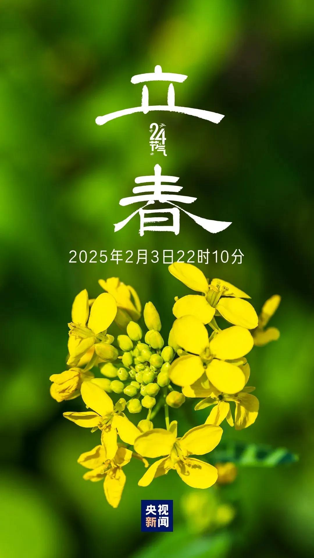 今日立春，二十四节气之首，拉开新一年的序章！立春要注意的4个细节:1.蛇年