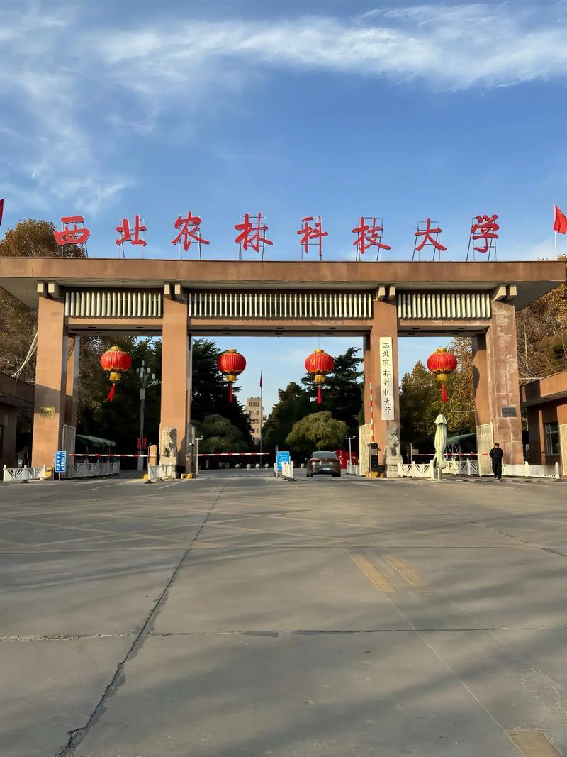 下面哪个学校是985？1、华南理工大学2、苏州大学3、北京科技大学