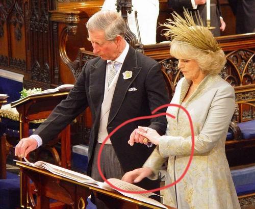 卡米拉这个眼神，应该是不敢置信吧！为何？因为她如愿成了王妃，自己肖想多年的位置