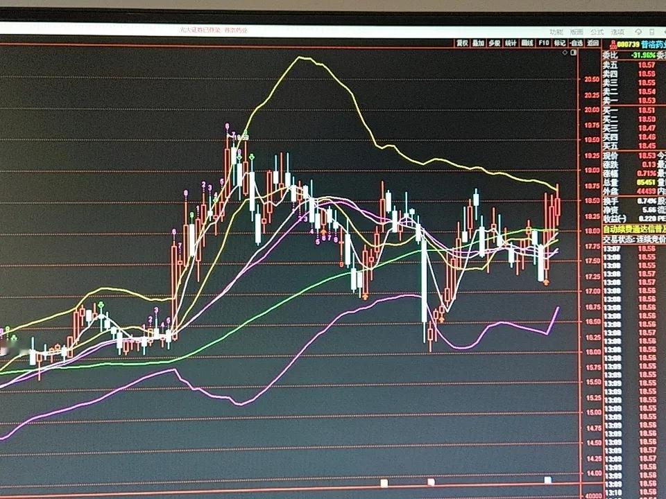 普洛药业（000739）综合分析：医药股里的“低调强者”先给结论：它在医药