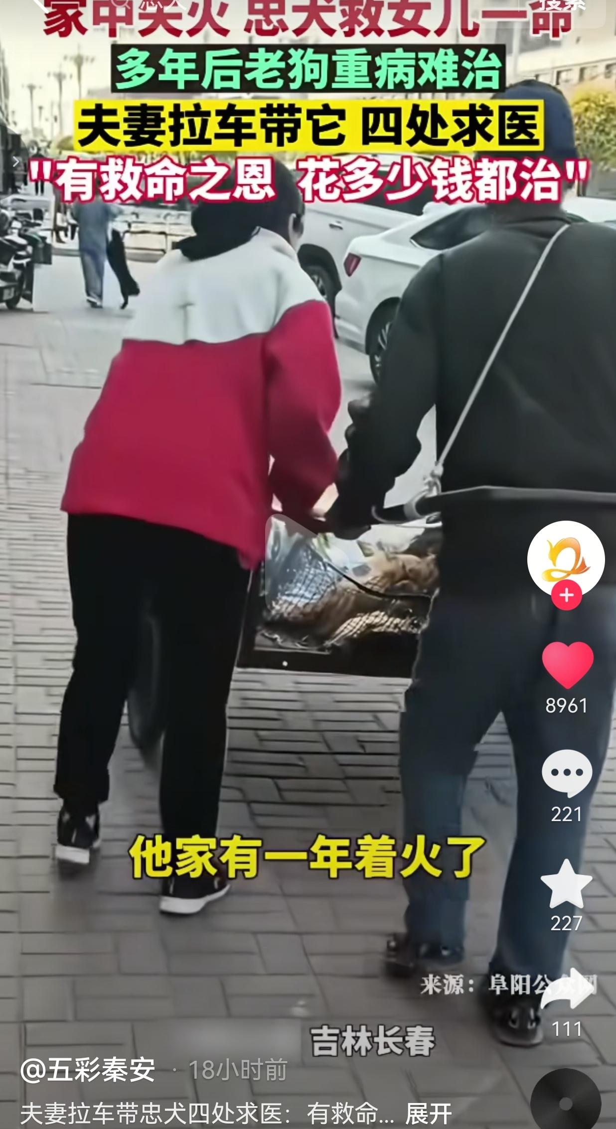 别人救过你一命，这辈子就不能把恩情说忘就忘。吉林长春。有一条狗狗已经陪了夫