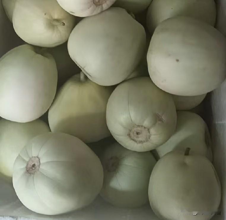 老公亮亮的口腔溃疡又犯了，吃饭也疼，吃菜也疼，每次一疼，就得几天才好。群里有